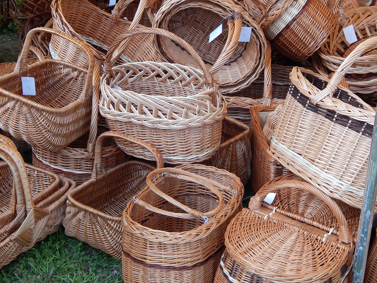 How to Start a Compost Bin - A Step-by-Step Guide